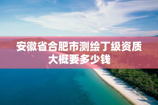 安徽省合肥市測(cè)繪丁級(jí)資質(zhì)大概要多少錢(qián)