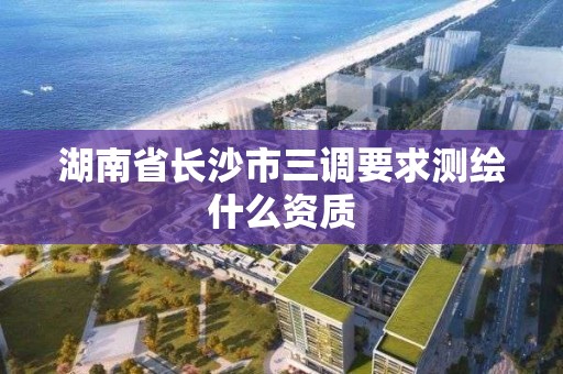 湖南省長沙市三調(diào)要求測繪什么資質(zhì)