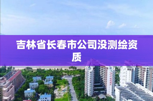 吉林省長春市公司沒測繪資質