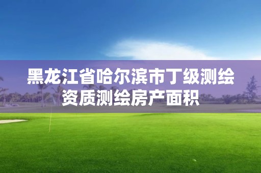 黑龍江省哈爾濱市丁級測繪資質測繪房產面積