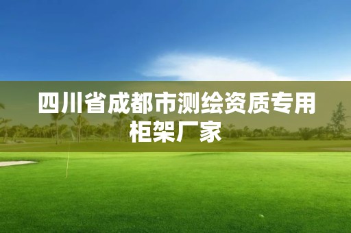 四川省成都市測繪資質(zhì)專用柜架廠家