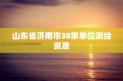 山東省濟(jì)南市38家單位測(cè)繪資質(zhì)