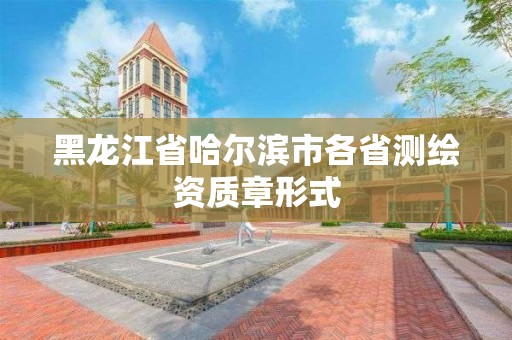 黑龍江省哈爾濱市各省測繪資質章形式