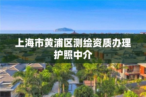 上海市黃浦區測繪資質辦理護照中介