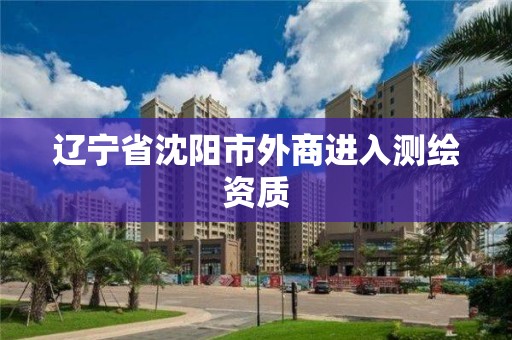 遼寧省沈陽市外商進入測繪資質