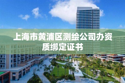 上海市黃浦區(qū)測繪公司辦資質(zhì)綁定證書