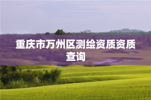 重慶市萬(wàn)州區(qū)測(cè)繪資質(zhì)資質(zhì)查詢