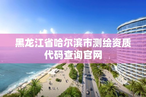 黑龍江省哈爾濱市測繪資質代碼查詢官網