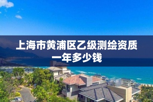 上海市黃浦區(qū)乙級測繪資質(zhì)一年多少錢