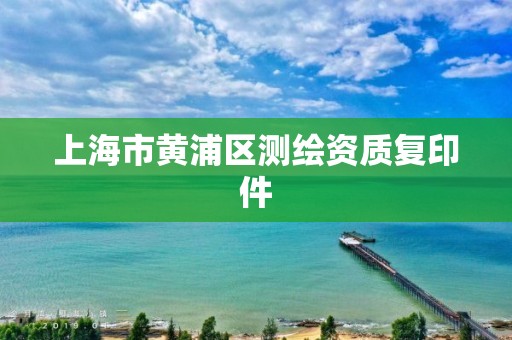 上海市黃浦區(qū)測繪資質復印件