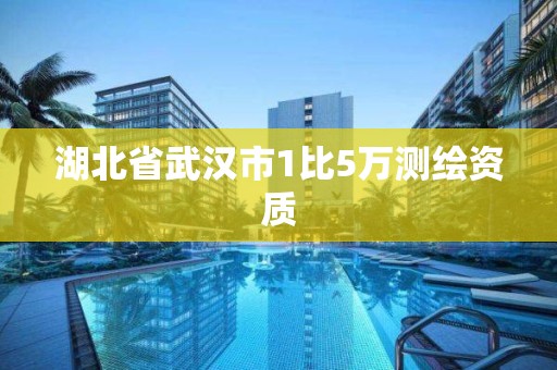 湖北省武漢市1比5萬測繪資質