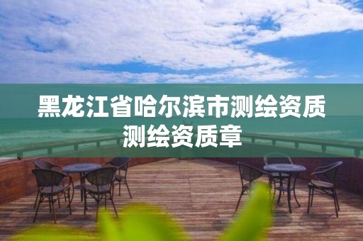 黑龍江省哈爾濱市測繪資質測繪資質章