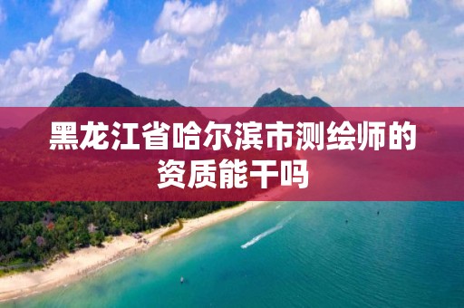 黑龍江省哈爾濱市測繪師的資質能干嗎