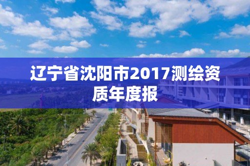 遼寧省沈陽市2017測繪資質年度報