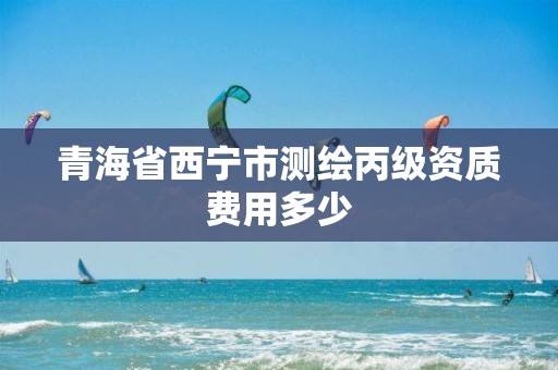 青海省西寧市測繪丙級資質(zhì)費用多少