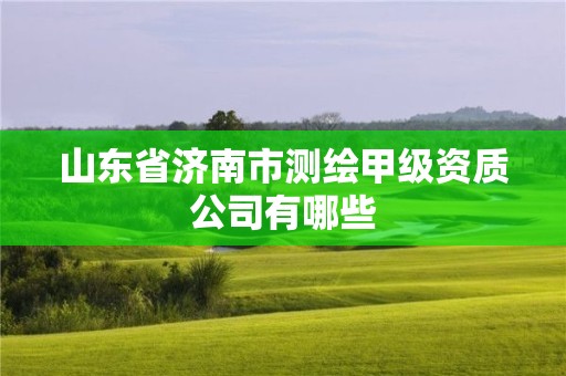 山東省濟南市測繪甲級資質公司有哪些