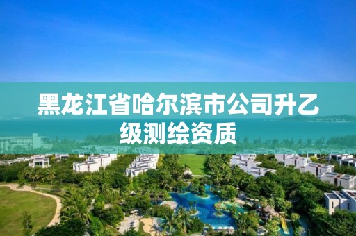 黑龍江省哈爾濱市公司升乙級測繪資質