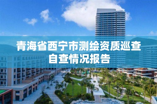 青海省西寧市測繪資質巡查自查情況報告