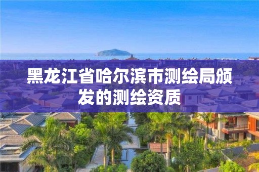 黑龍江省哈爾濱市測繪局頒發的測繪資質