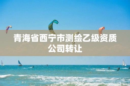 青海省西寧市測(cè)繪乙級(jí)資質(zhì)公司轉(zhuǎn)讓