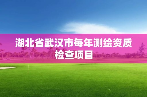 湖北省武漢市每年測繪資質檢查項目