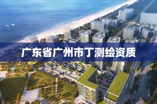 廣東省廣州市丁測繪資質