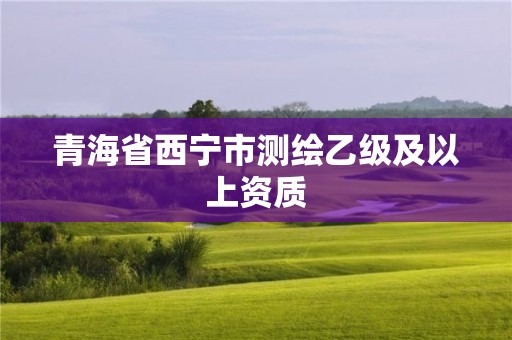 青海省西寧市測(cè)繪乙級(jí)及以上資質(zhì)