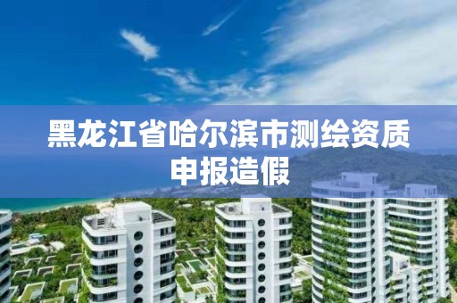 黑龍江省哈爾濱市測繪資質申報造假