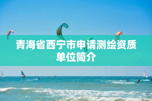 青海省西寧市申請測繪資質(zhì)單位簡介