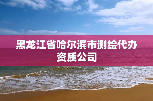 黑龍江省哈爾濱市測繪代辦資質公司