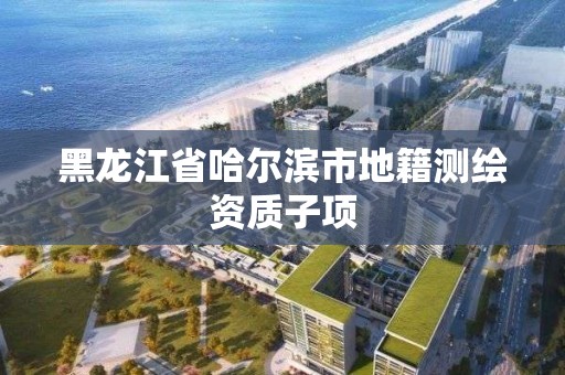 黑龍江省哈爾濱市地籍測繪資質子項