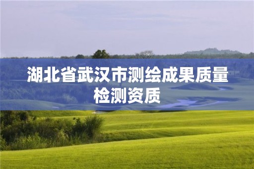 湖北省武漢市測繪成果質量檢測資質