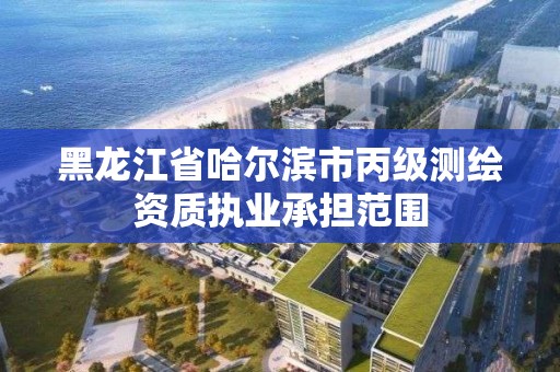 黑龍江省哈爾濱市丙級測繪資質執業承擔范圍