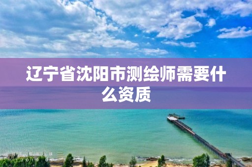 遼寧省沈陽市測繪師需要什么資質