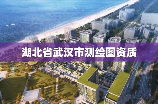 湖北省武漢市測繪圖資質(zhì)