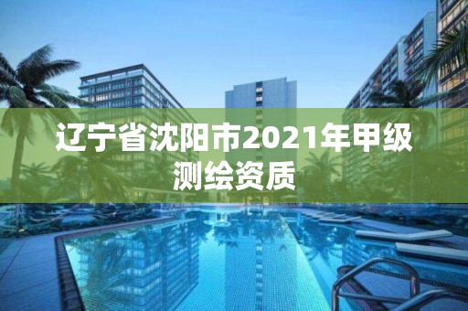 遼寧省沈陽市2021年甲級測繪資質