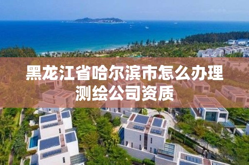 黑龍江省哈爾濱市怎么辦理測繪公司資質