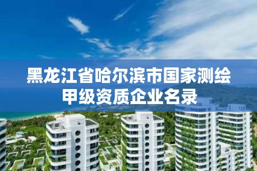 黑龍江省哈爾濱市國家測繪甲級資質企業名錄