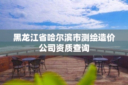 黑龍江省哈爾濱市測繪造價公司資質查詢