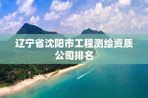 遼寧省沈陽市工程測繪資質(zhì)公司排名