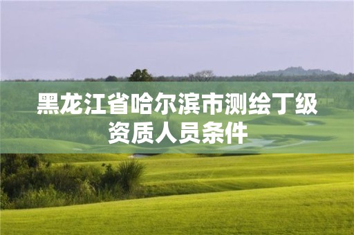 黑龍江省哈爾濱市測(cè)繪丁級(jí)資質(zhì)人員條件