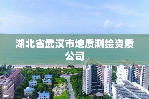 湖北省武漢市地質(zhì)測繪資質(zhì)公司