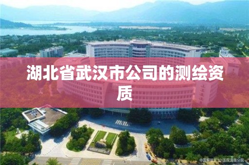 湖北省武漢市公司的測(cè)繪資質(zhì)