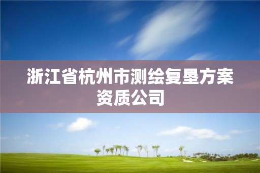 浙江省杭州市測繪復墾方案資質公司