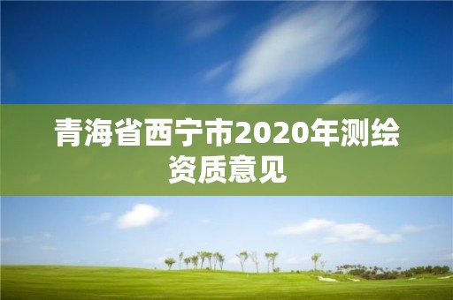 青海省西寧市2020年測繪資質意見