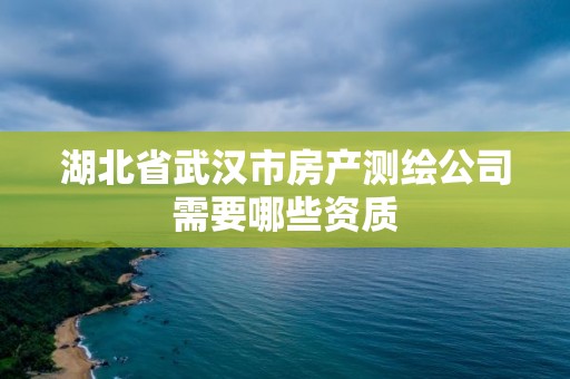 湖北省武漢市房產(chǎn)測繪公司需要哪些資質(zhì)