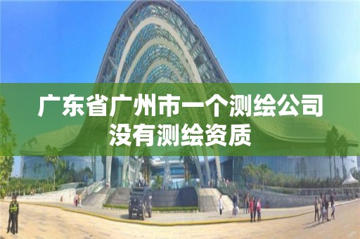 廣東省廣州市一個測繪公司沒有測繪資質(zhì)