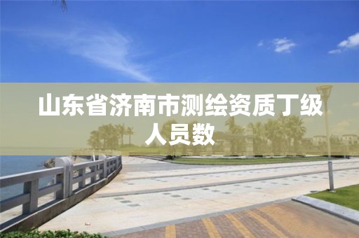 山東省濟南市測繪資質丁級人員數