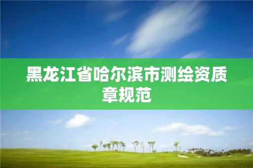 黑龍江省哈爾濱市測繪資質章規范