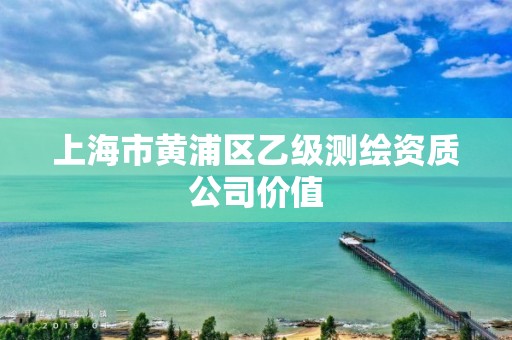 上海市黃浦區乙級測繪資質公司價值